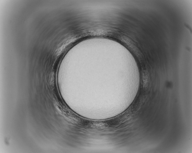 X0000101170583200807251135