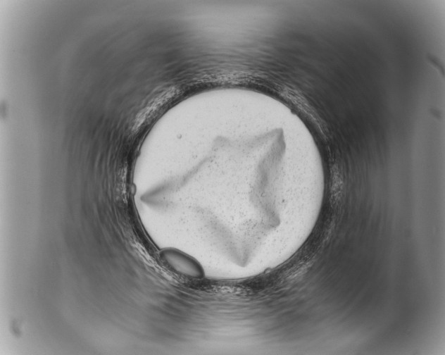 X0000101170585200807251134