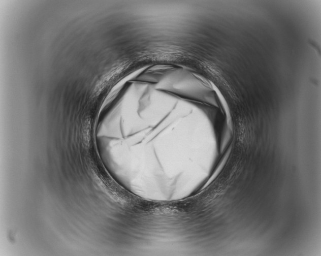X0000101170586200807251134