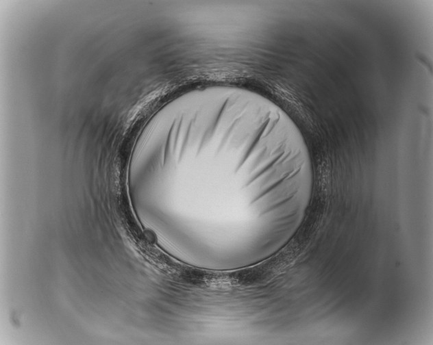 X0000101170587200807251134