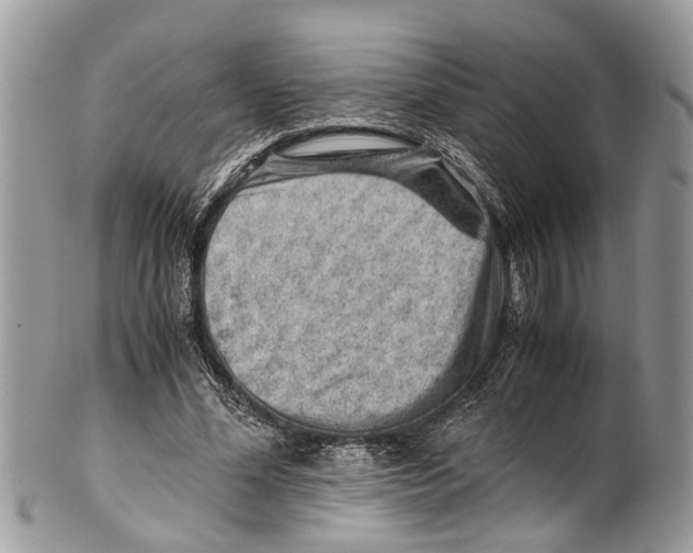 X0000101170588200807251134