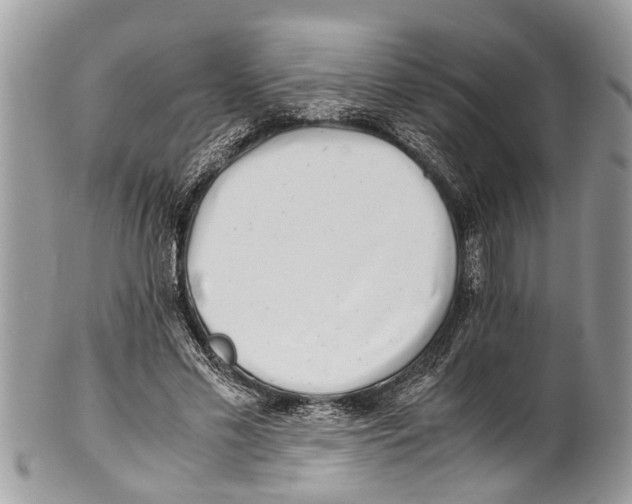 X0000101170589200807251134