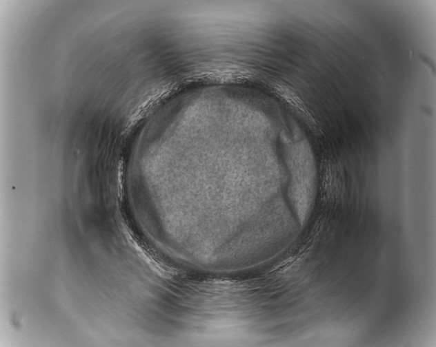 X0000101170590200807251134