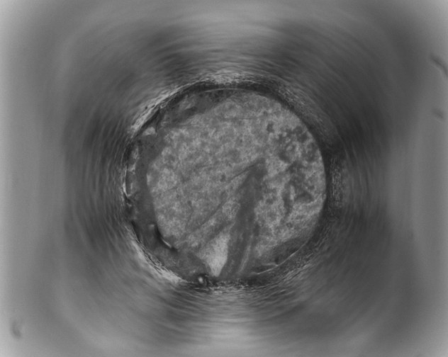 X0000101170592200807251134