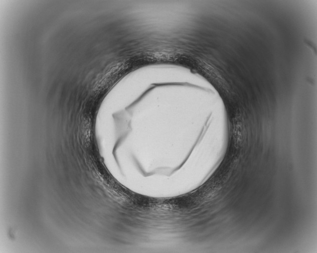 X0000101170593200807251134