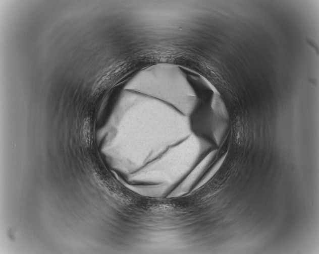 X0000101170594200807251134