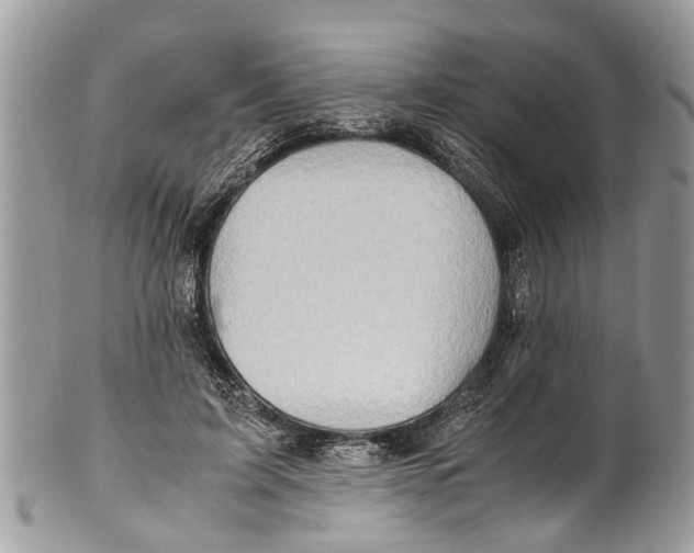 X0000101170595200807251134