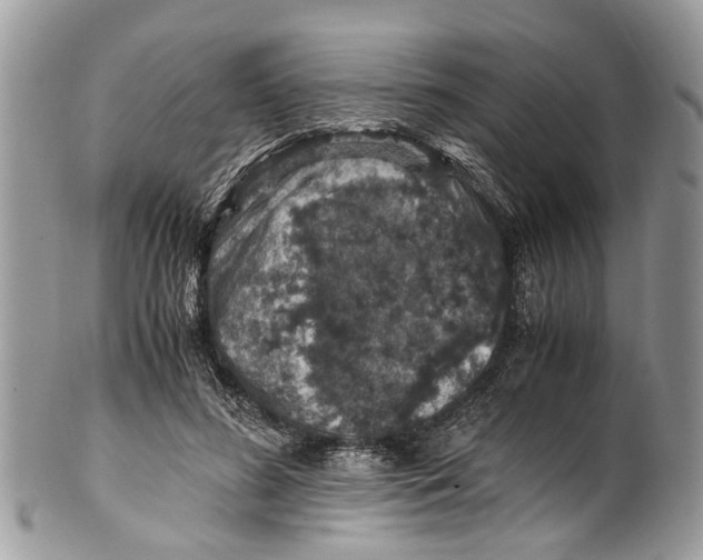 X0000101170596200807251134