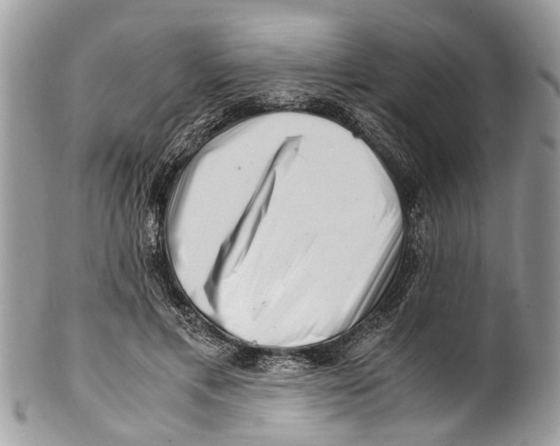 X0000101170597200807251134