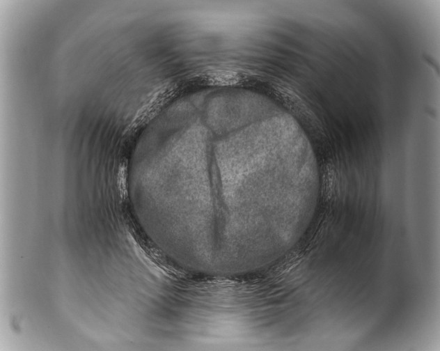X0000101170598200807251134