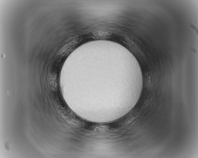 X0000101170599200807251134