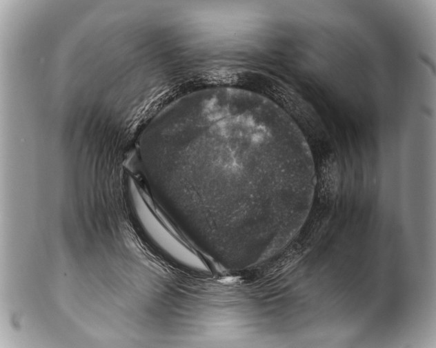 X0000101170600200807251134