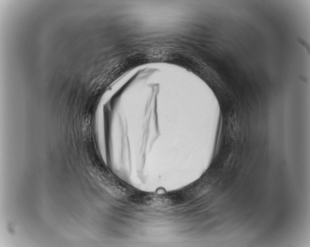 X0000101170601200807251134