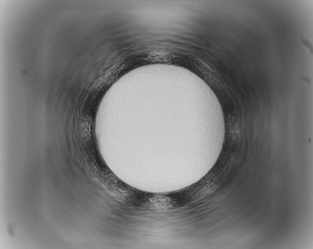 X0000101170603200807251134
