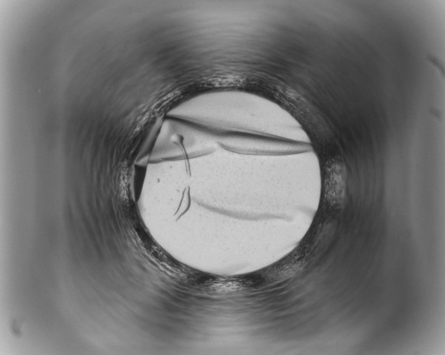 X0000101170604200807251134