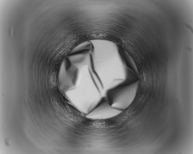 X0000101170606200807251134