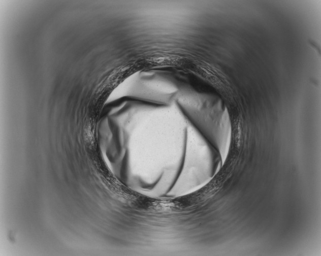 X0000101170607200807251134
