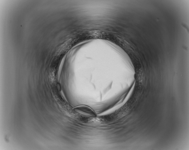 X0000101170611200807251134