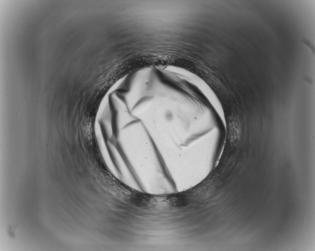 X0000101170613200807251134
