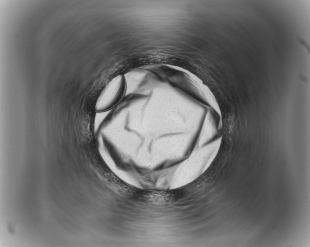 X0000101170615200807251134