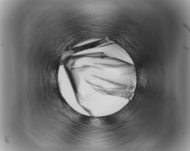 X0000101170616200807251134