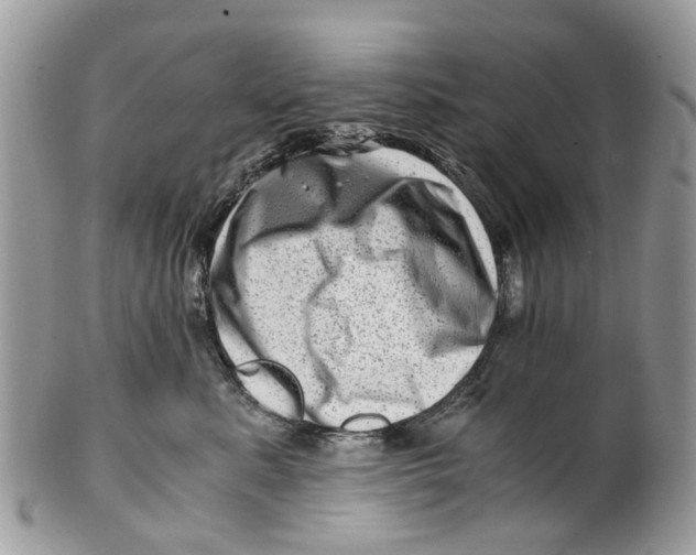 X0000101170619200807251134