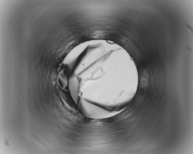 X0000101170620200807251134