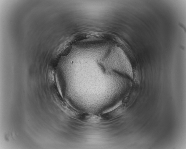 X0000101170621200807251134