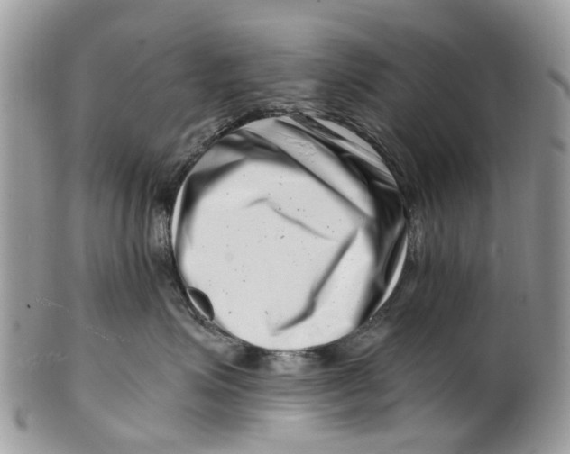 X0000101170623200807251134