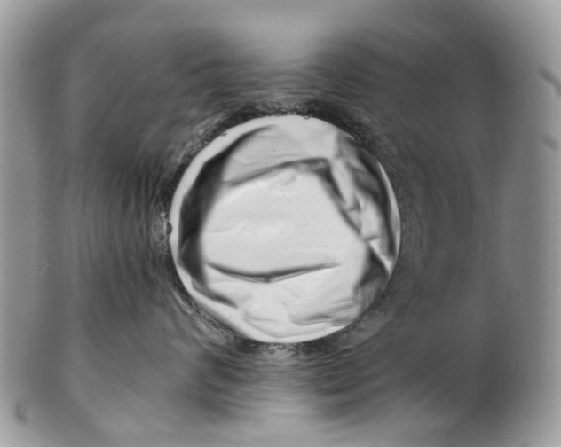 X0000101170624200807251134