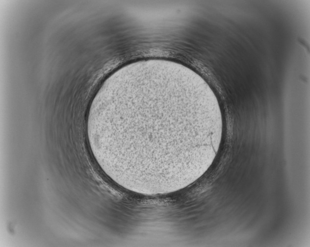 X0000101170625200807251133