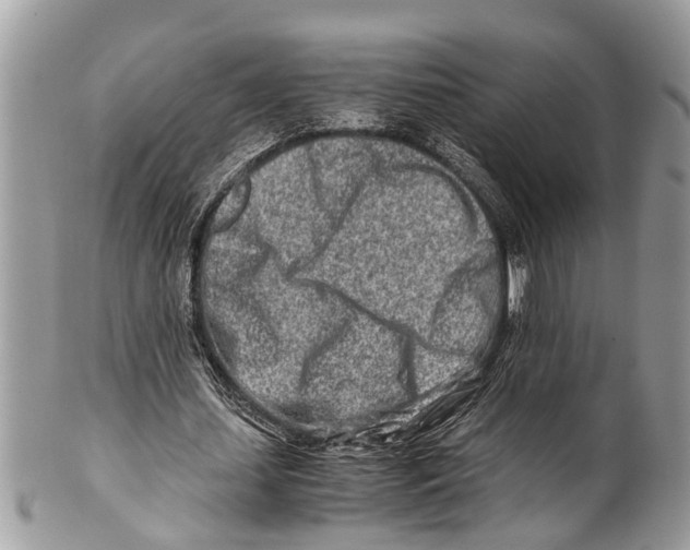 X0000101170627200807251133
