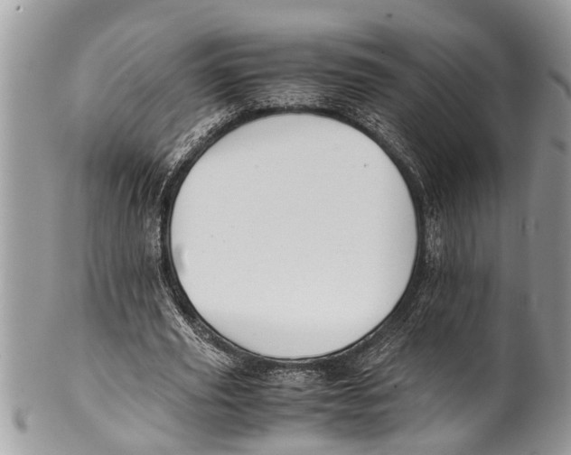 X0000101170629200807251133