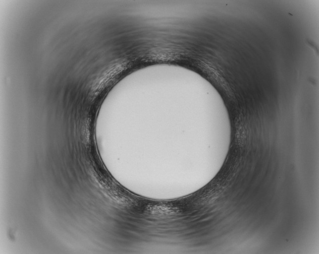 X0000101170635200807251133