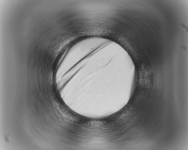 X0000101170636200807251133