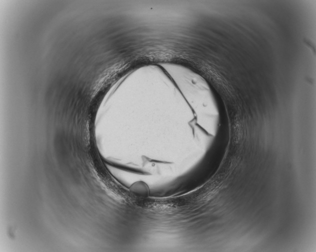 X0000101170638200807251133