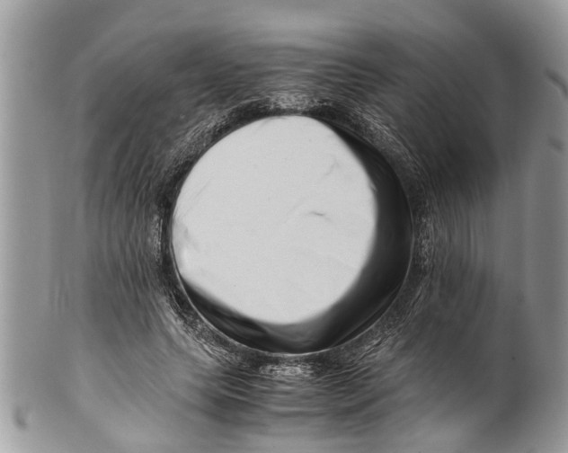 X0000101170639200807251133