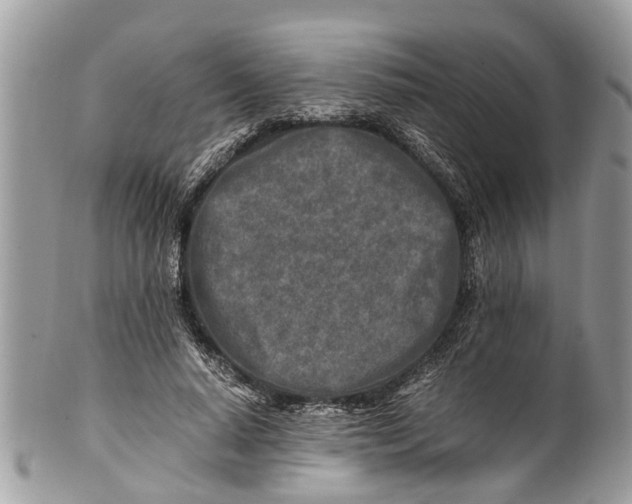 X0000101170640200807251133