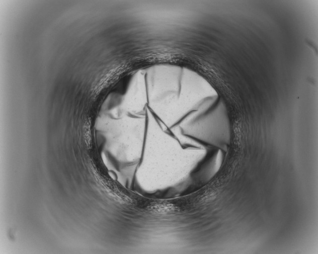 X0000101170642200807251134