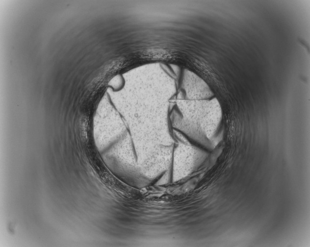 X0000101170643200807251134