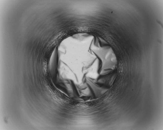 X0000101170648200807251134
