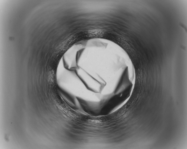 X0000101170649200807251134