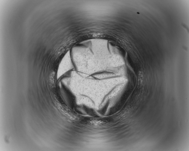 X0000101170650200807251134