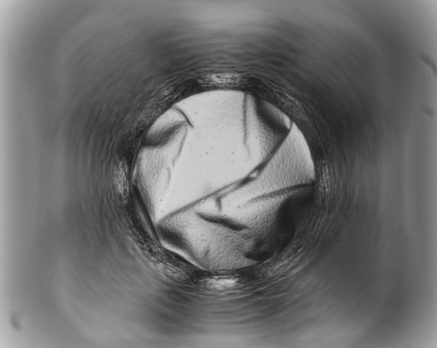 X0000101170651200807251134