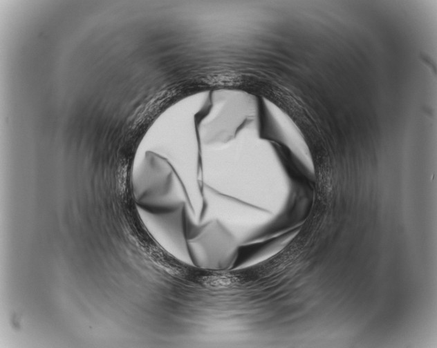 X0000101170652200807251134