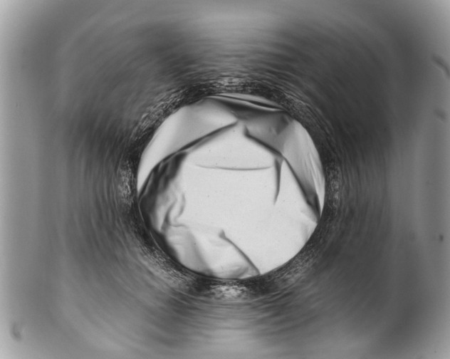 X0000101170654200807251134