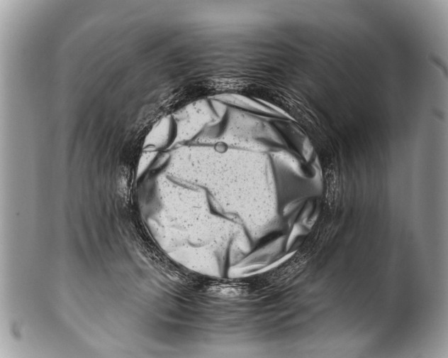 X0000101170655200807251134