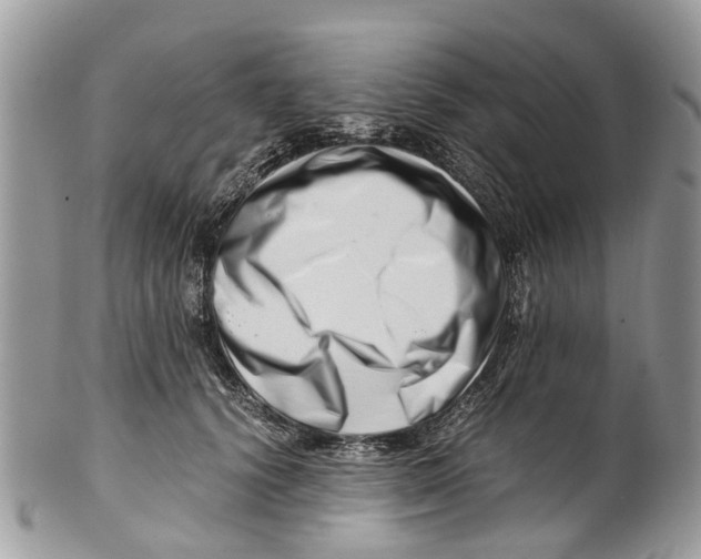 X0000101170656200807251134