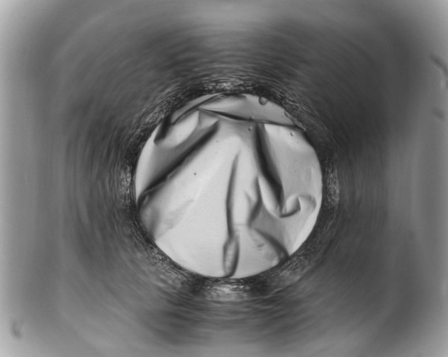 X0000101170657200807251134