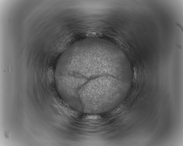 X0000101170659200807251134
